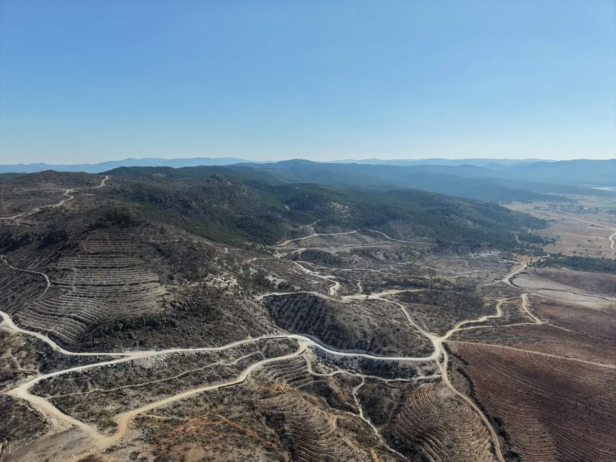 Afyonkarahisar'da Eber Gölü'nde yangın sonrası yaban hayatı fotokapanla izleniyor