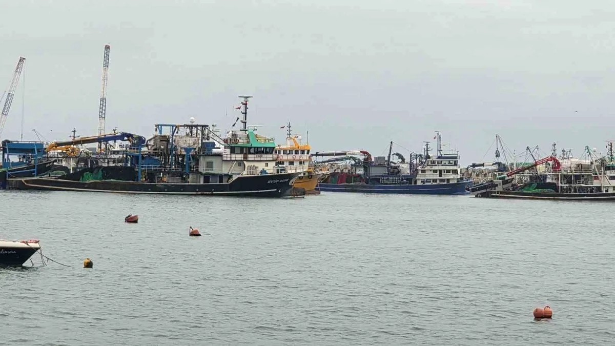 Zonguldak Ereğli'de olumsuz hava balıkçılığı durdurdu, trol gemileri limana sığındı