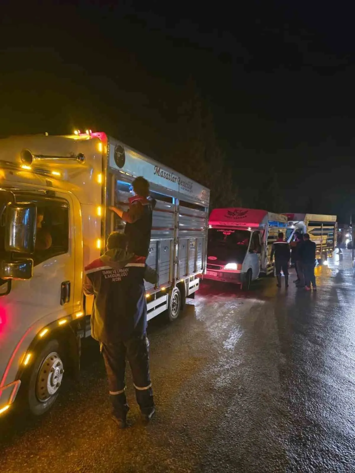 Çine Hayvan Pazarı, veteriner hekim denetiminde yeniden hizmete girdi