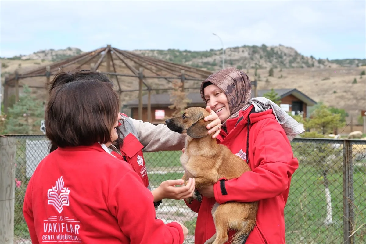 Kütahya Vakıflar Bölge Müdürlüğü, 4 Ekim'de sahipsiz hayvanlara mama desteği verdi