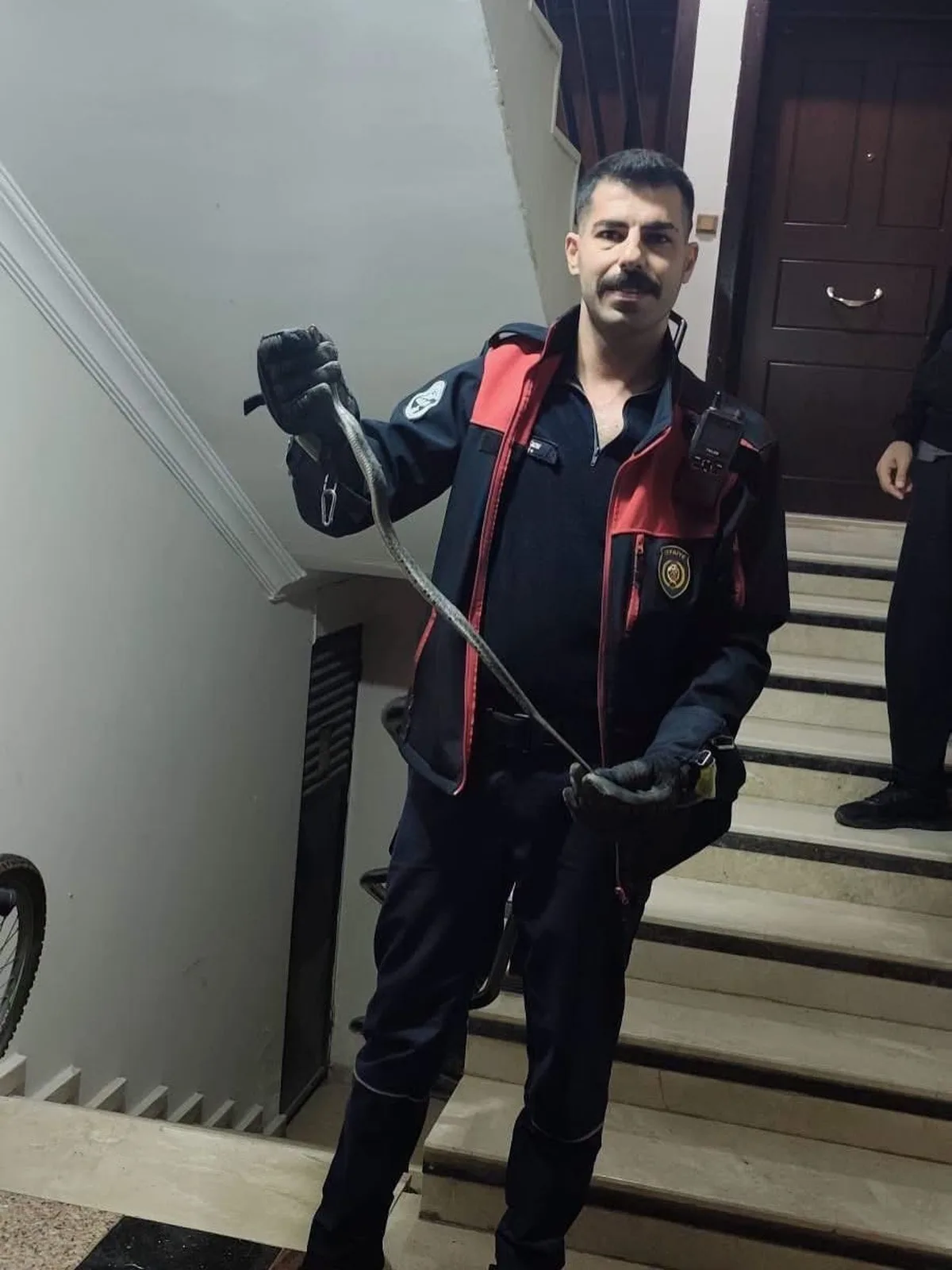 Hatay'ın Defne ilçesinde yakalanan yılan itfaiye tarafından doğaya bırakıldı