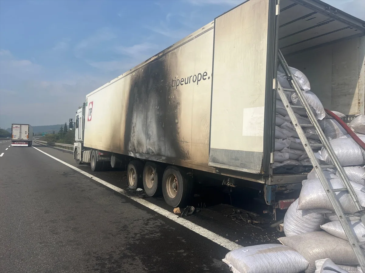 Düzce'de ayçiçeği çekirdeği yüklü tırın dorsesinde çıkan yangın hasara yol açtı
