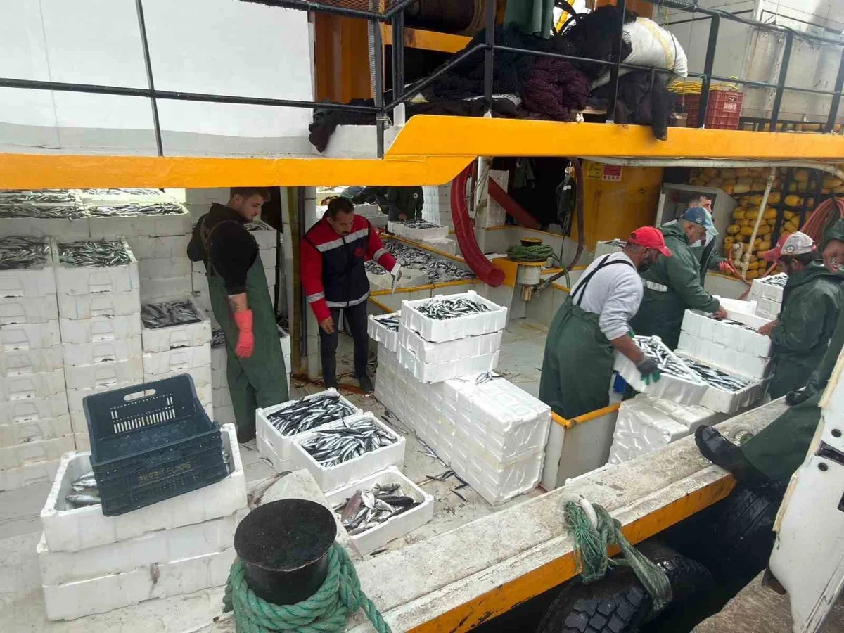 Didim'de 2026-2027 hamsi kota denetimlerini Tarım ve Orman Müdürlüğü yürütüyor