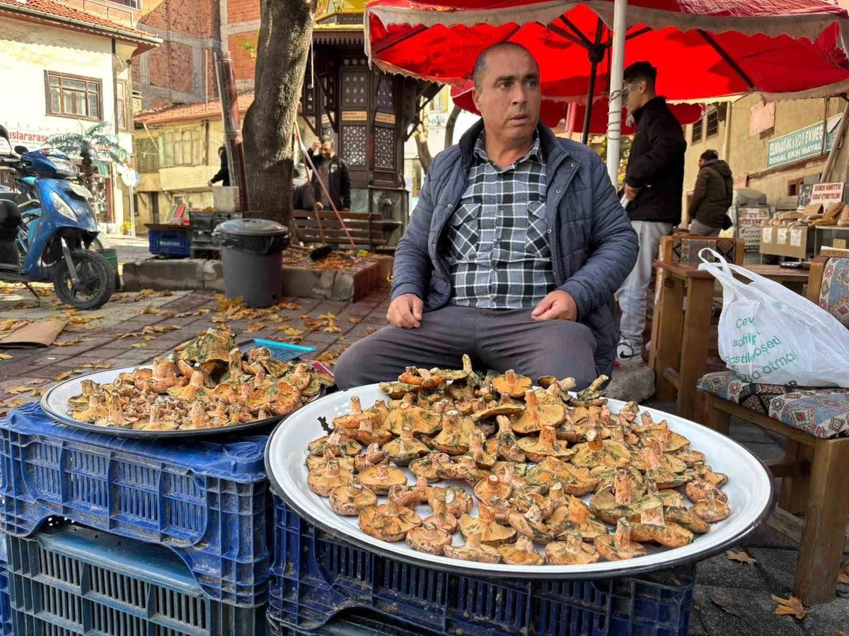Kütahya Tavşanlı'da dağ mantarı köylü pazarında 350 liradan alıcı buluyor