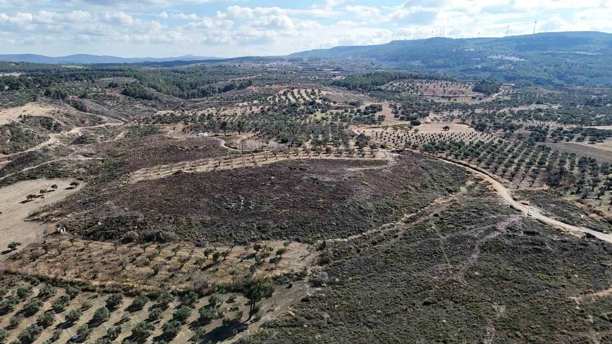 Çanakkale Güzelyalı'da 24 saat süren yangının ardından yeniden yeşerme başladı