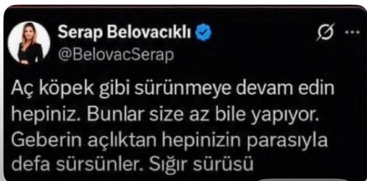 Bakırköy Başsavcılığı, gazeteci Serap Belovacıklı'ya resen soruşturma başlattı