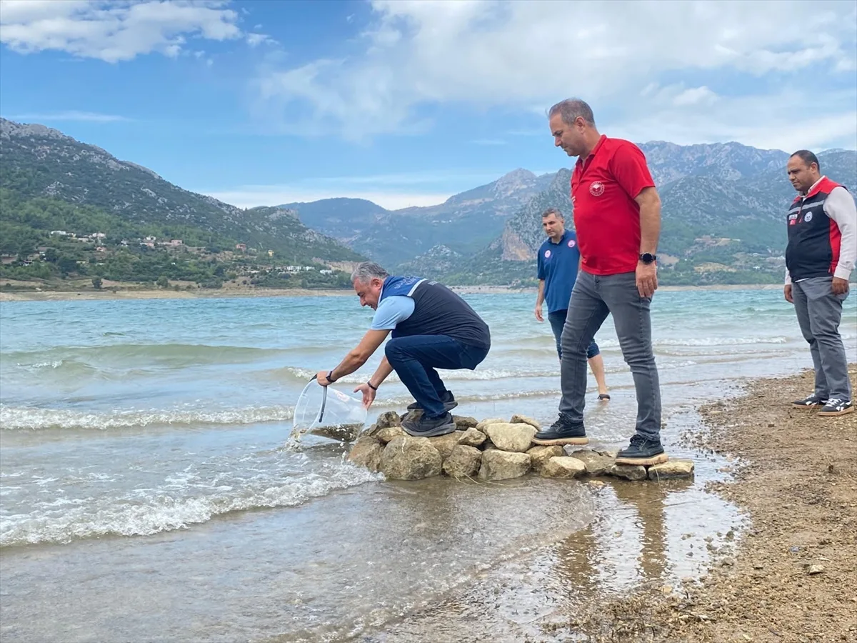 Tarım ve Orman Bakanlığı Kozan'da 7 göl ve gölete 665 bin sazan yavrusu bıraktı