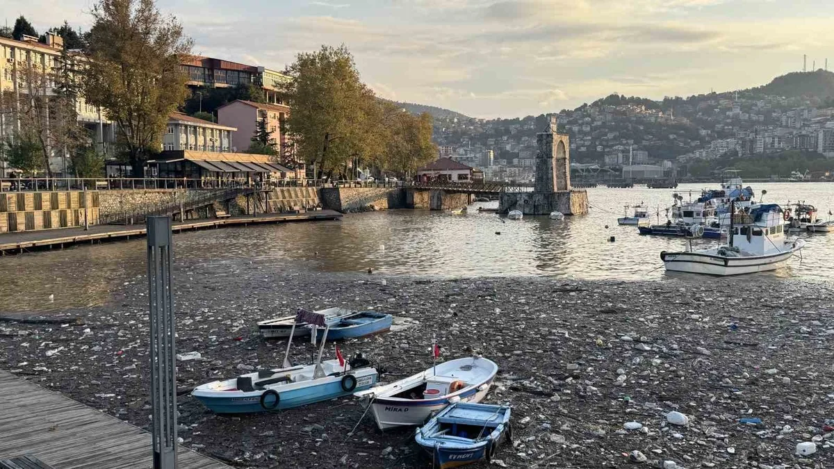 Zonguldak'ta sağanak sonrası derelerden sürüklenen çöpler limanda birikti