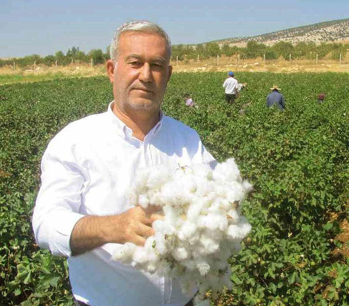 ÇUKOBİRLİK 2026-2027 sezonu St1 kütlü pamuk alım fiyatını 41,50 TL olarak açıkladı