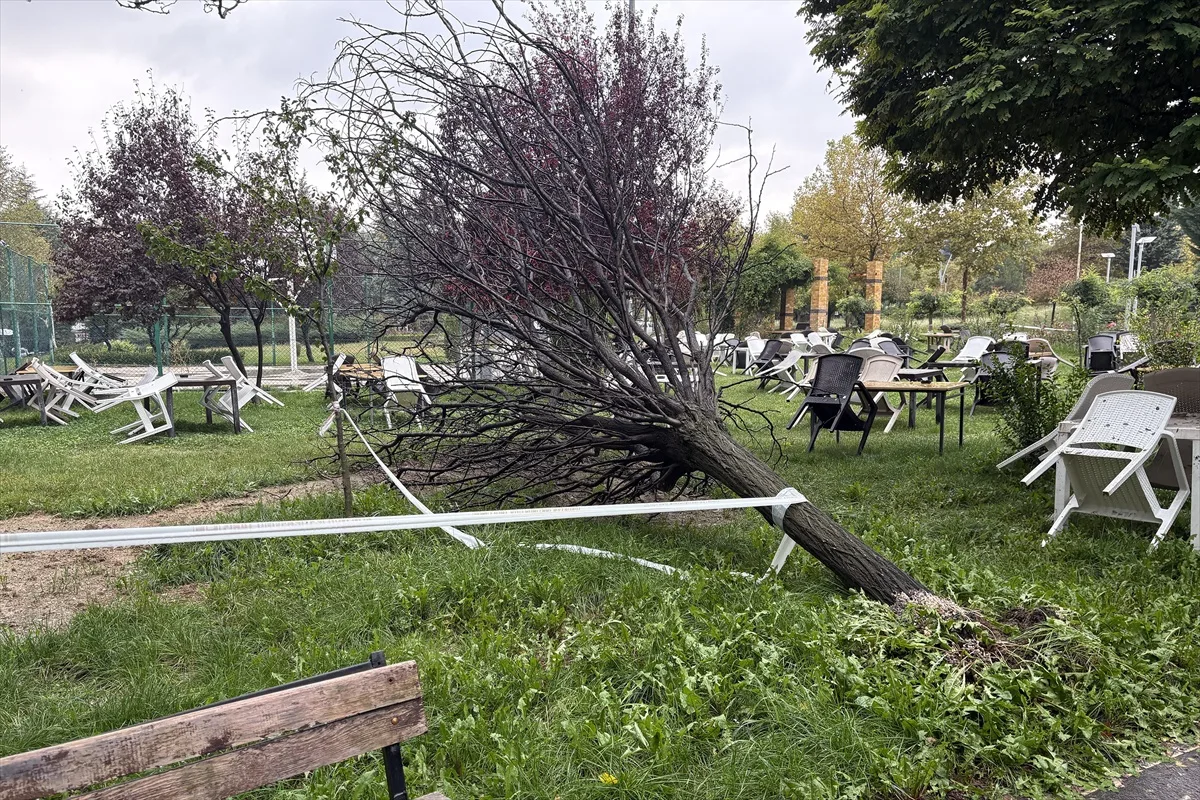 Elazığ'da sağanak ve rüzgarda devrilen ağaç Fırat Üniversitesi yakınında araca düştü