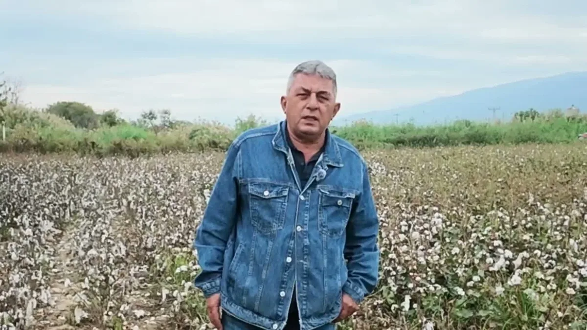 Aydın Nazilli'de pamuk üreticisi mazotun litresi 30'dan 100 liraya çıkınca zorlanıyor